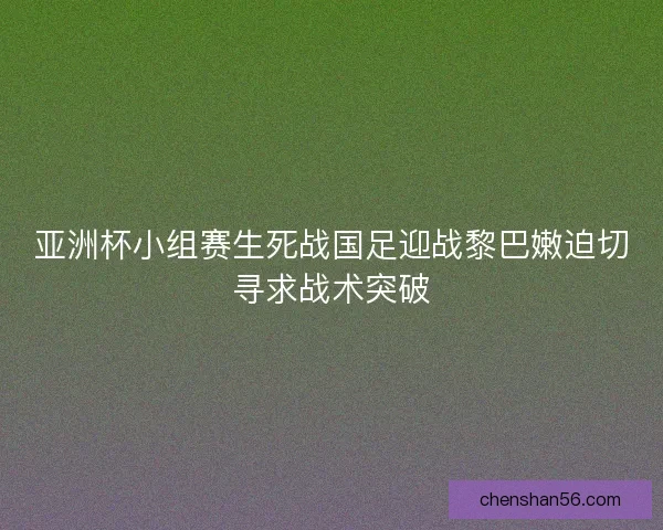 亚洲杯小组赛生死战国足迎战黎巴嫩迫切寻求战术突破